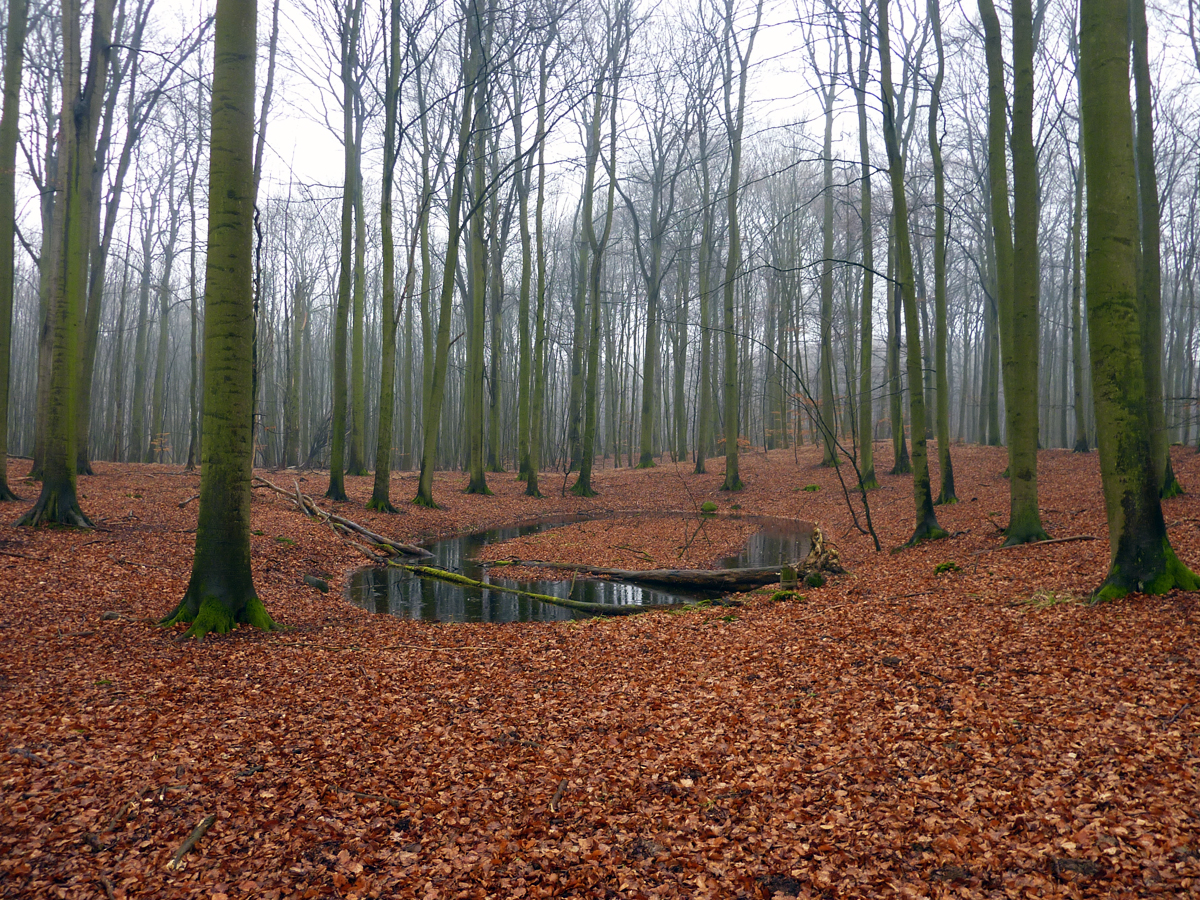 06_Schaalsee_Riek